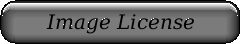 Image License Agreement