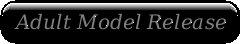 Adult Model Release