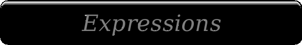 Expressions Logo