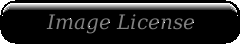 Image License Agreement
