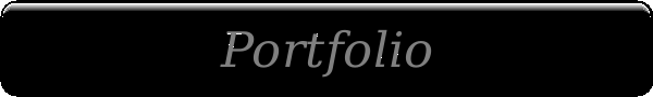 Portfolio Logo